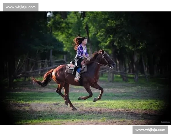 《激情飞扬的小火车赛道挑战赛全程揭秘》