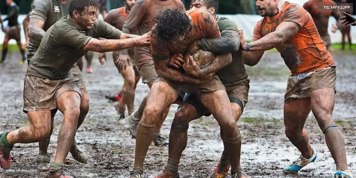 行业领先的理由